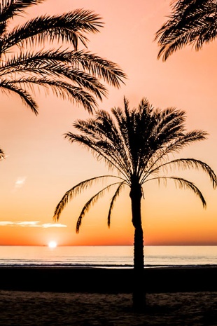  Daybreak on the beach in Cullera, Valencia
