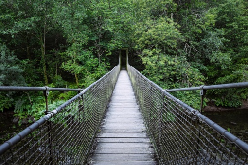  Suspension bridge in the Fragas do Eume Nature Reserve in A Coruña, Galicia