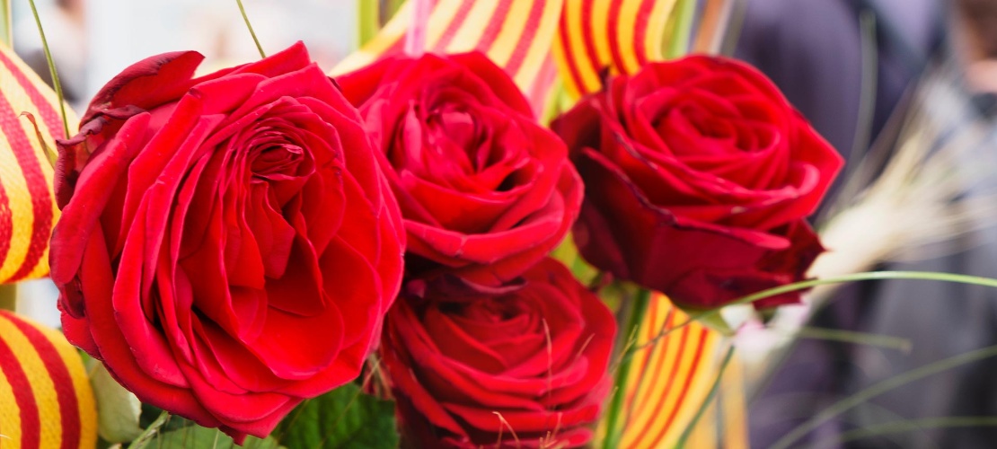 Bouquet of roses on Sant Jordi day. Barcelona